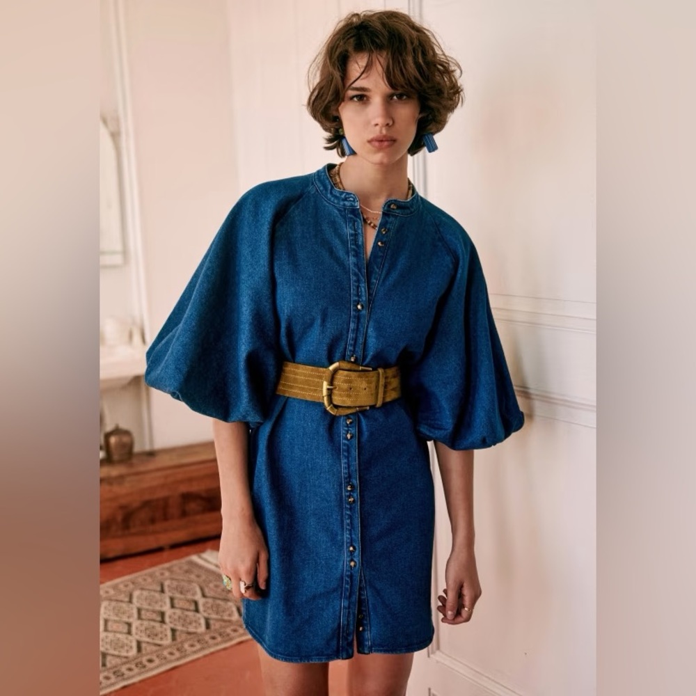 Sezane Lila Dress Puff Balloon Sleeve Mini Button Front Dress